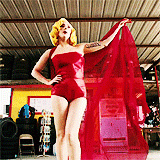 /album/la-chameleon/a3-gif1/